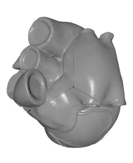 Anatomical Heart Puzzle — modelo 3D