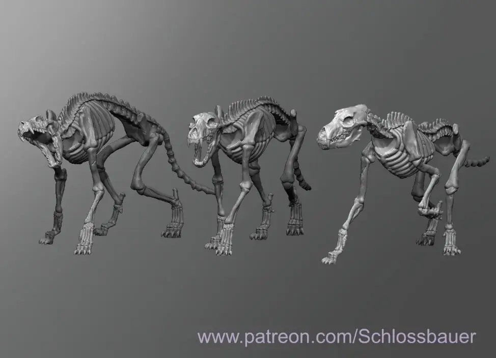 Wolf skeleton — modelo 3D