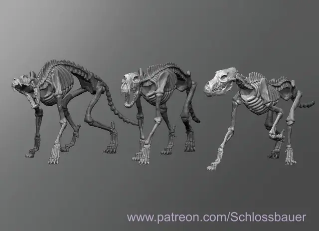 Wolf skeleton — modelo 3D
