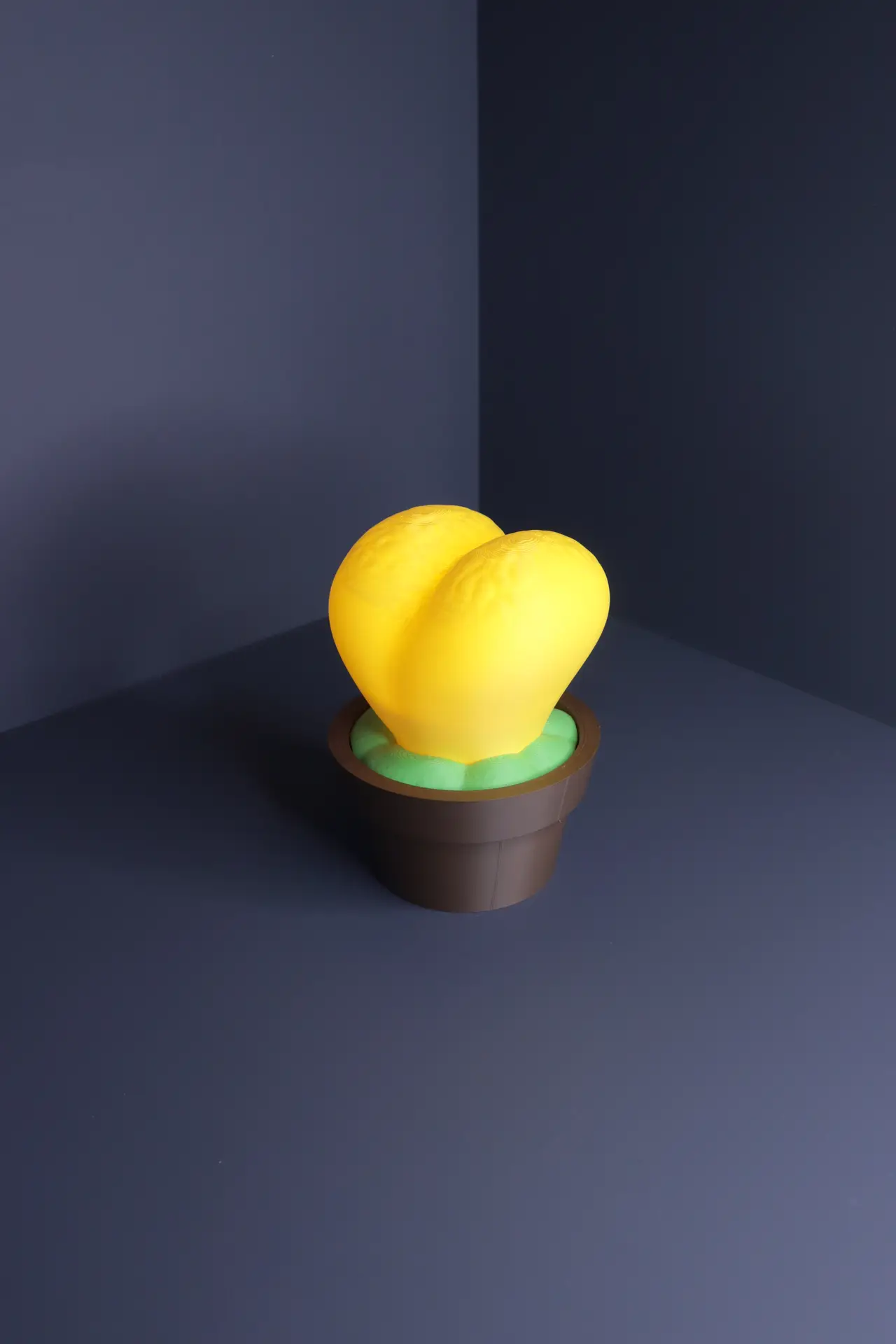 Lithops Lamp — modelo 3D