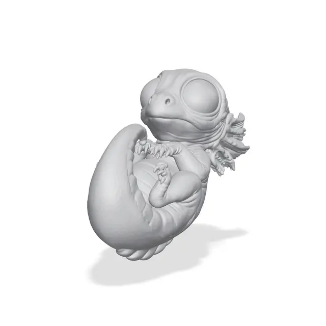 THE UNHATCHED – Axolotl Dragon Embryo — modelo 3D