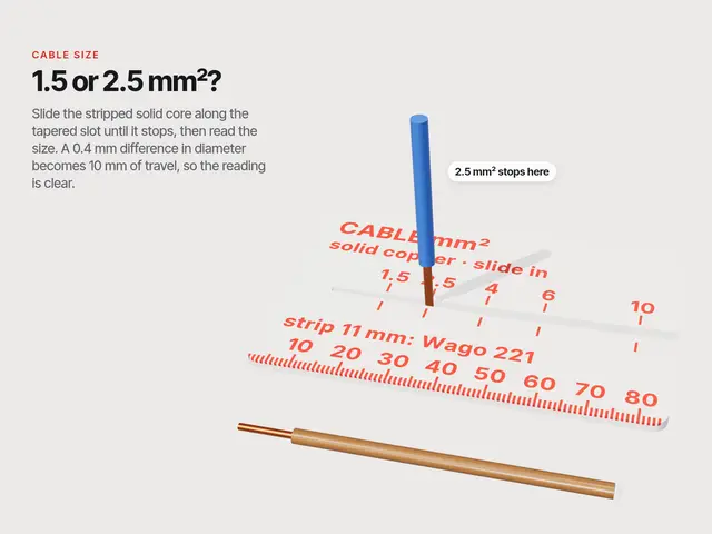 Cable Size Gauge Card – 1.5 or 2.5 mm²? — modelo 3D