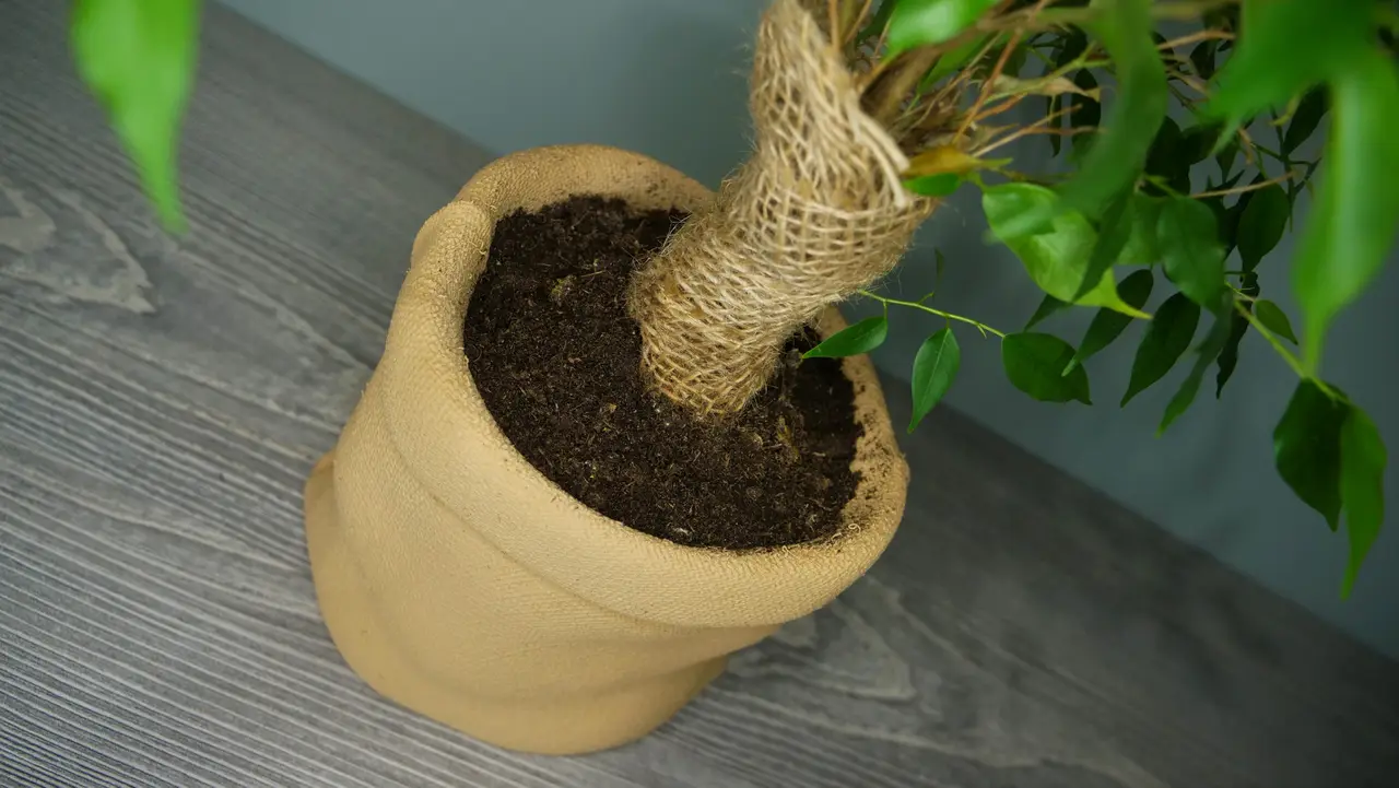 Burlap Sack Planter — modelo 3D