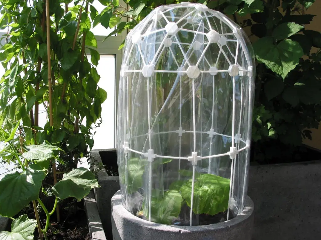 Greenhouse-Dome (clickable) / Treibhausdom — modelo 3D