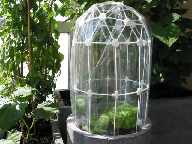 Greenhouse-Dome (clickable) / Treibhausdom — modelo 3D