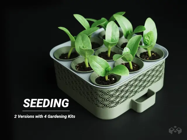 Self Watering Seed Starter with Greenhouse Cover — modelo 3D