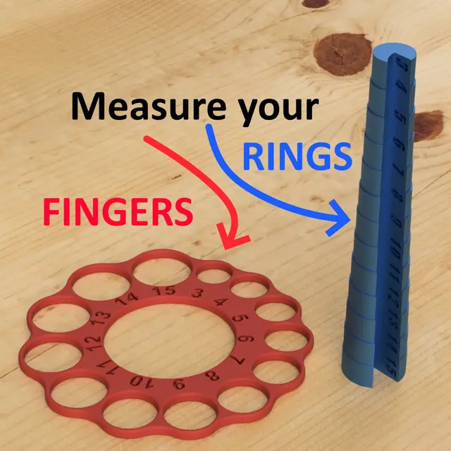 Rings & Fingers sizer - universal + Mandrel — modelo 3D