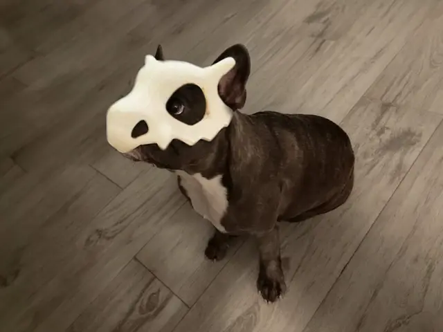 Dog and Cat Mask (cubone from Pokèmon) — modelo 3D