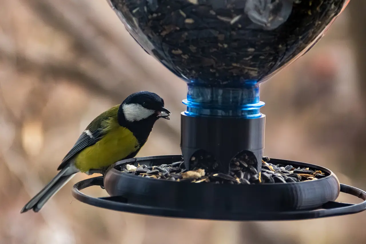 Bird Feeder for a bottle (48mm and 28mm threads) — modelo 3D