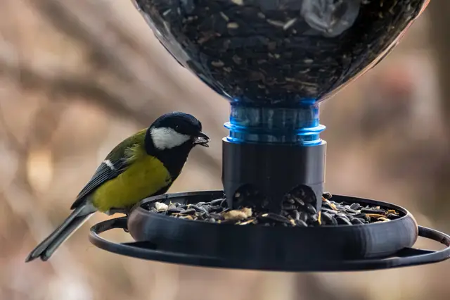 Bird Feeder for a bottle (48mm and 28mm threads) — modelo 3D