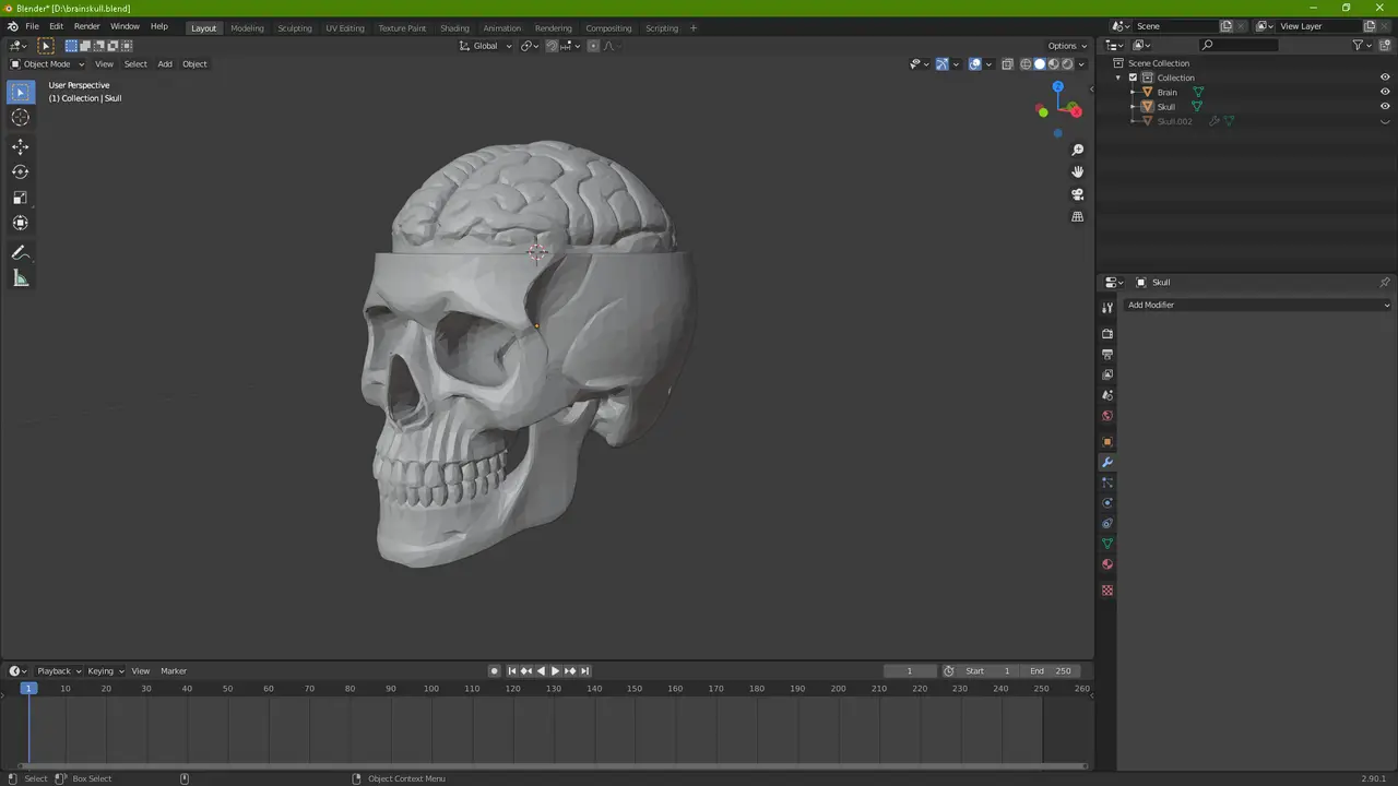 BrainSkull — modelo 3D