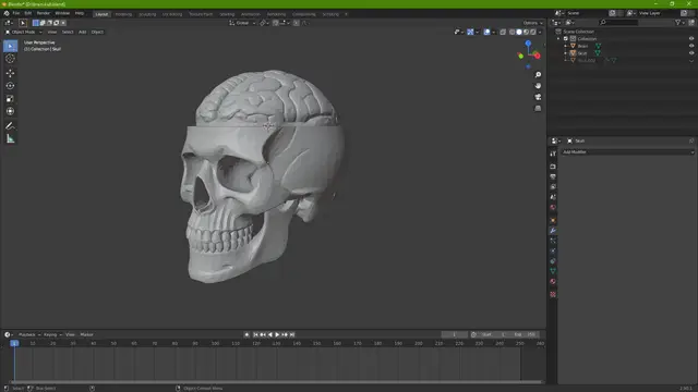BrainSkull — modelo 3D
