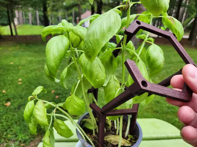Open Cage Stackable Plant Support Stakes — modelo 3D