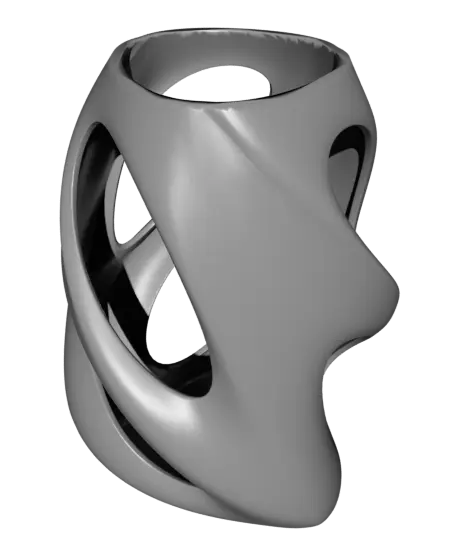 Organic Twisted Cutout Vase — modelo 3D