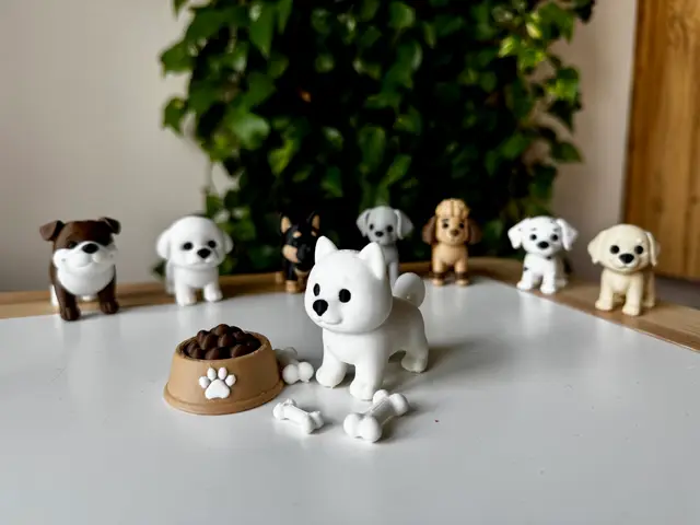 Samoyed — modelo 3D