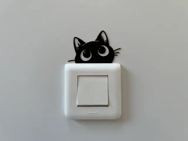 Wall Light Switch Decoration #6 — modelo 3D