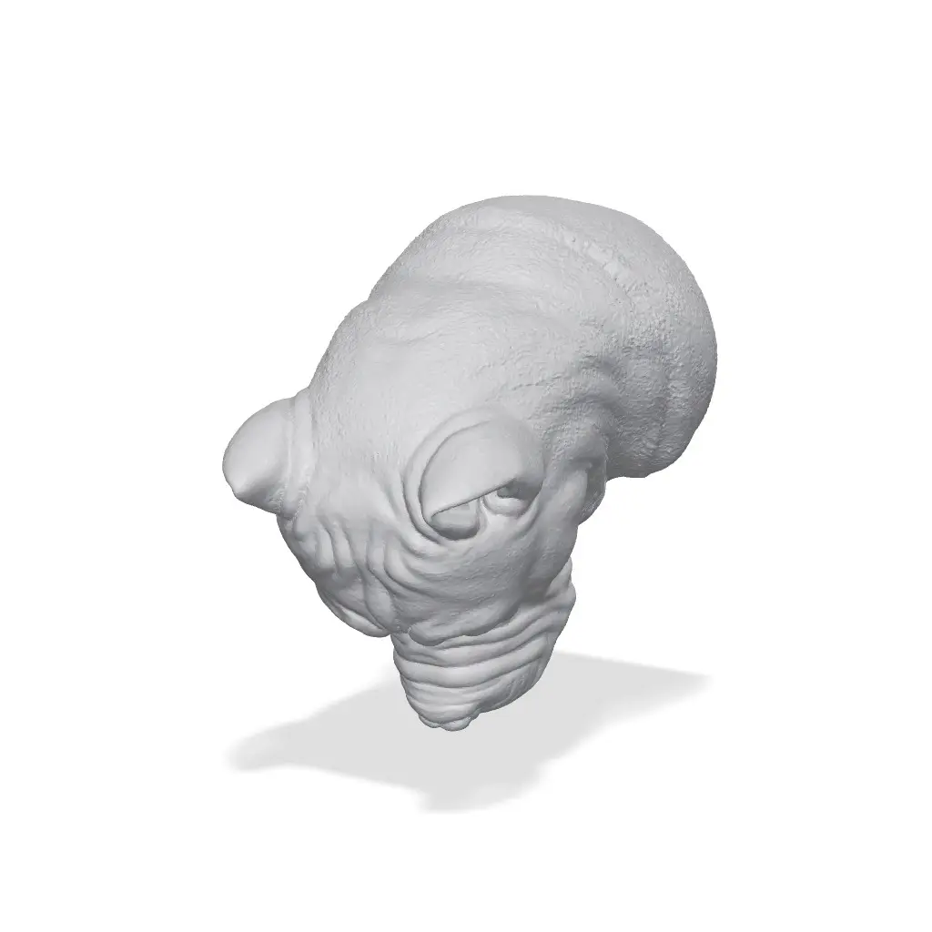 Cane Corso Bust 3D Print STL — modelo 3D