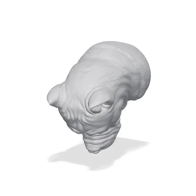 Cane Corso Bust 3D Print STL — modelo 3D