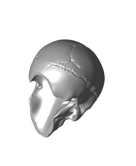 Staple Skull — modelo 3D
