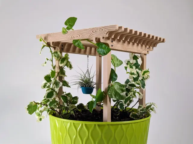 Potted Plant Pergola for Support & Shade — modelo 3D