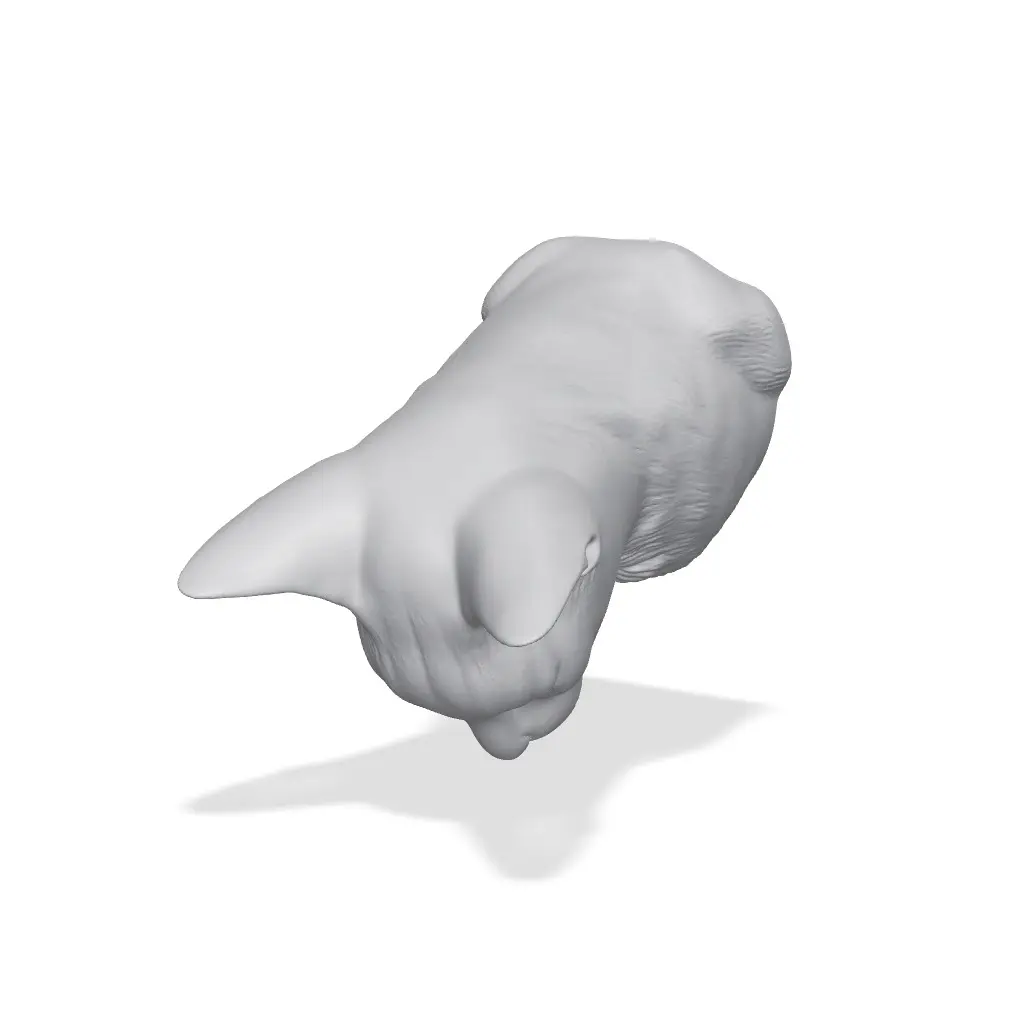 Siamese Cat Bust 3D Print STL — modelo 3D