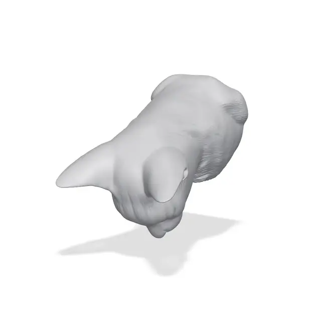 Siamese Cat Bust 3D Print STL — modelo 3D