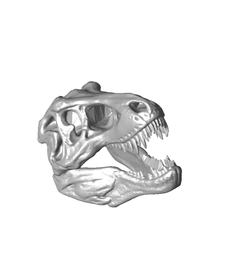 Tyrannosaurus skull（by Revopoint POP 2） — modelo 3D
