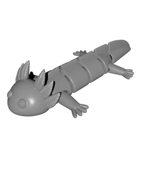Articulated Axolotl Toy – Cute Flexi Toy — modelo 3D
