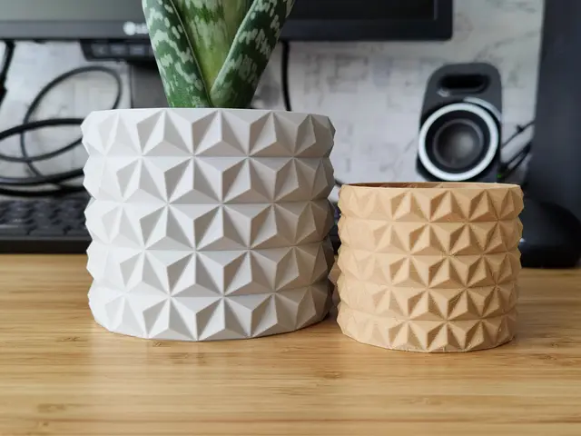 Cactus Flower Pot Planter for Plants — modelo 3D