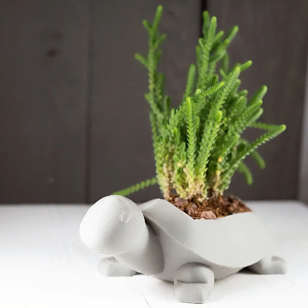 Turtle Planter — modelo 3D