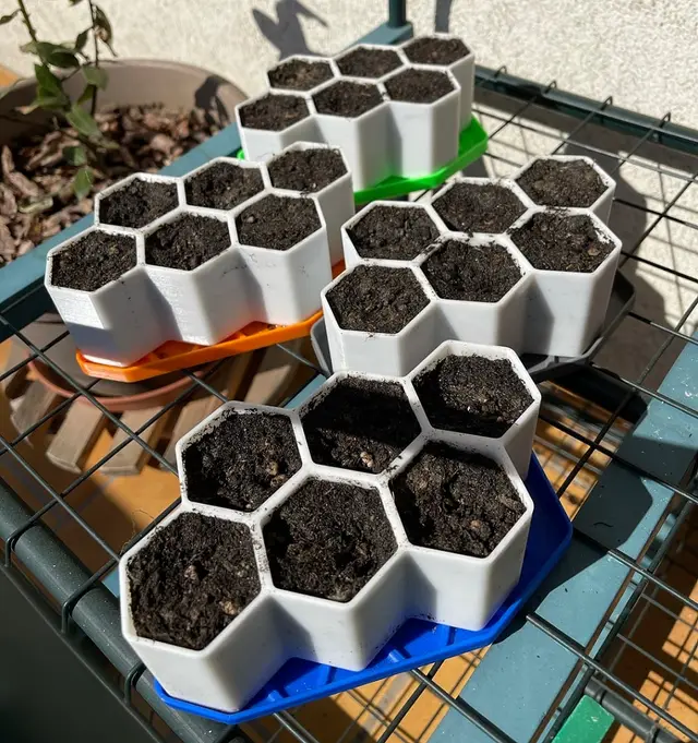 Starter Plant Grower — modelo 3D