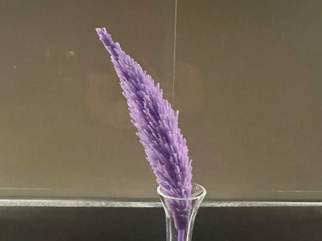Pampasgras – fluffige Rispe für die Vase — modelo 3D