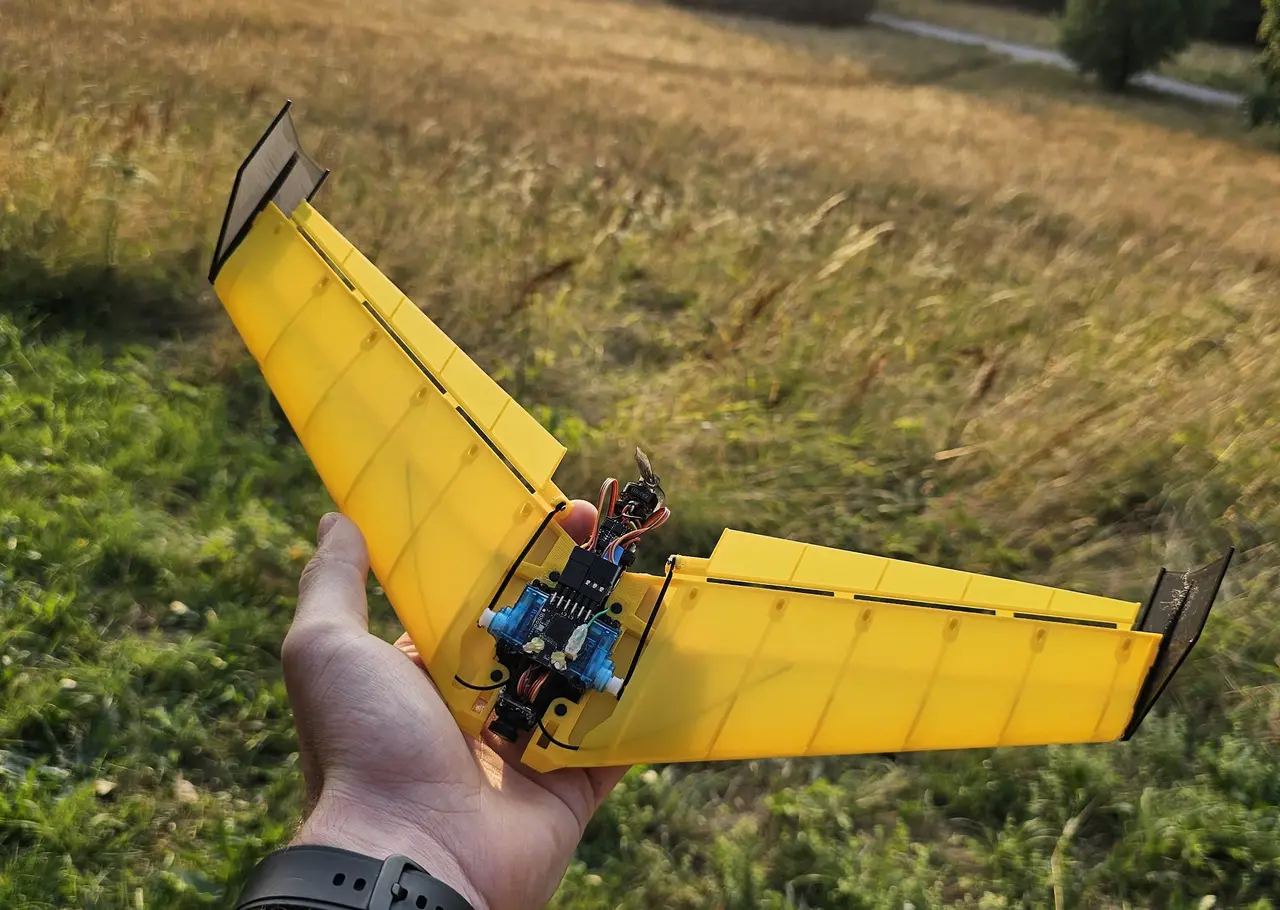 FPV-Wing-Racer — modelo 3D