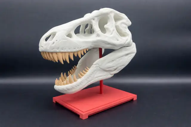 T-Rex Skull — modelo 3D