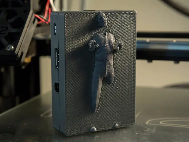 Han Solo in Carbonite - Raspberry Pi 2/B+ Case — modelo 3D