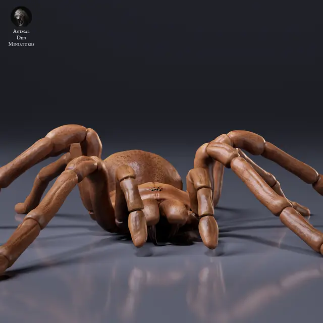 Goliath Birdeater — modelo 3D