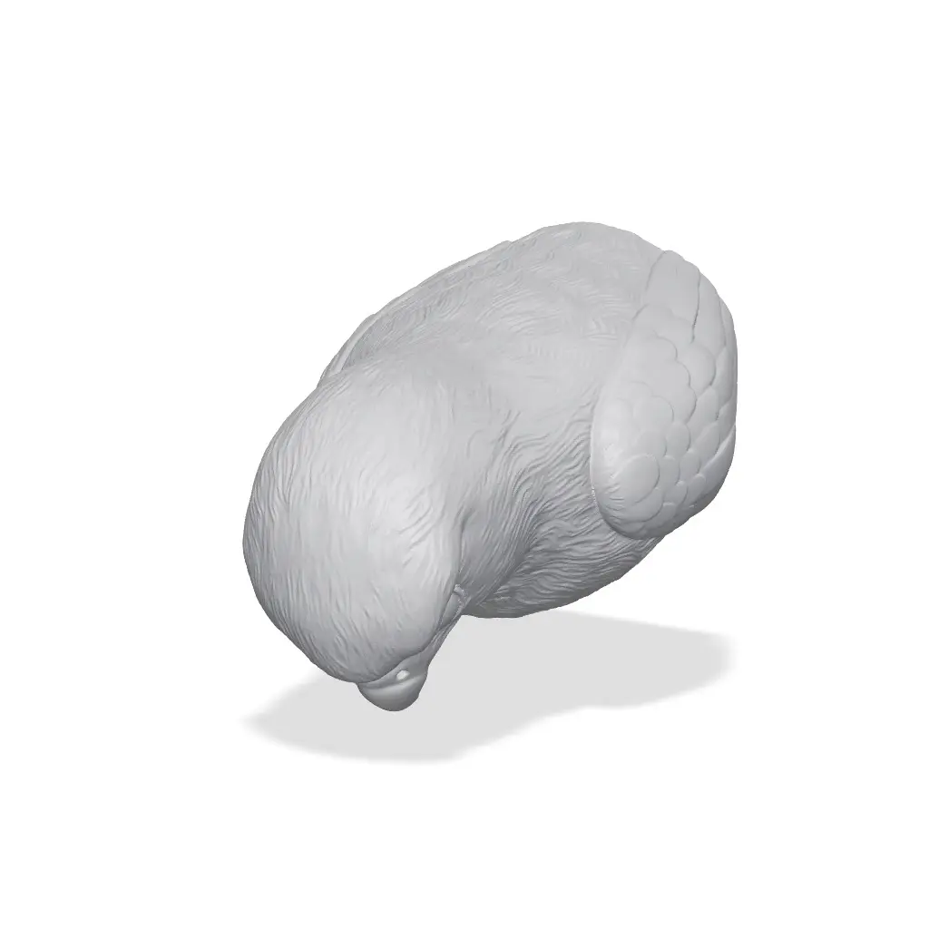 Hawk Bust 3D Print STL — modelo 3D