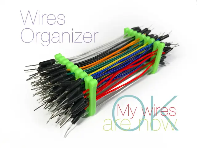 Wires Organizer — modelo 3D
