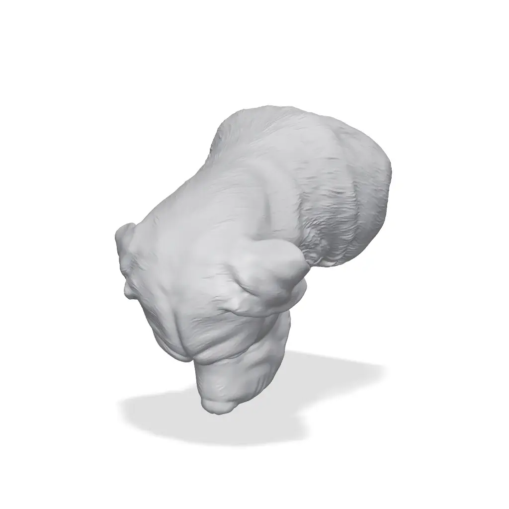 St. Bernard Bust 3D Print STL — modelo 3D