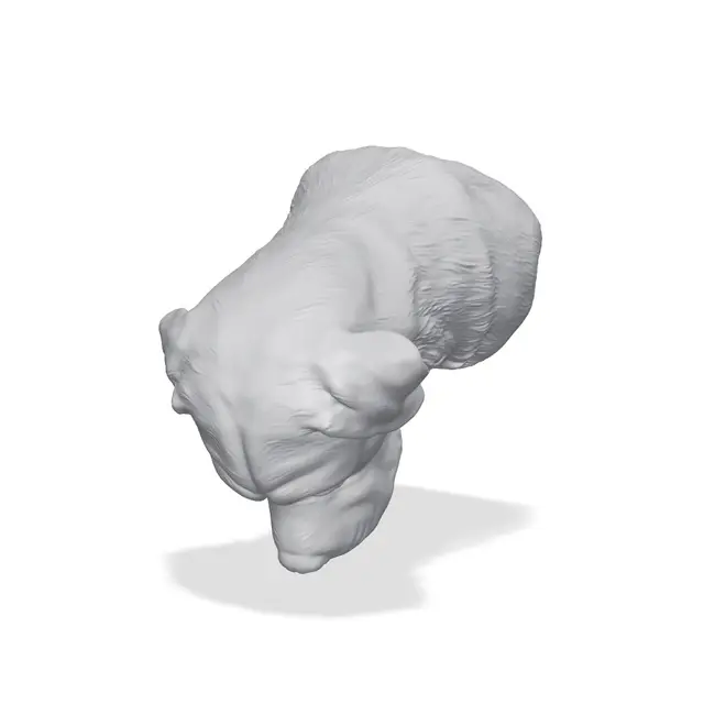 St. Bernard Bust 3D Print STL — modelo 3D