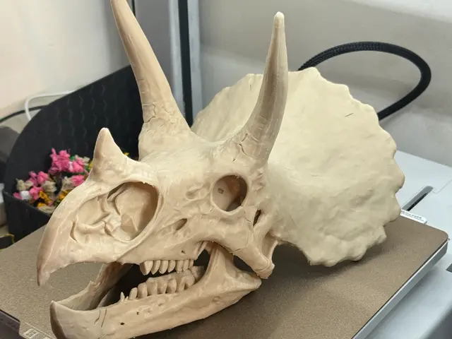 Triceratops Skull Replica — modelo 3D