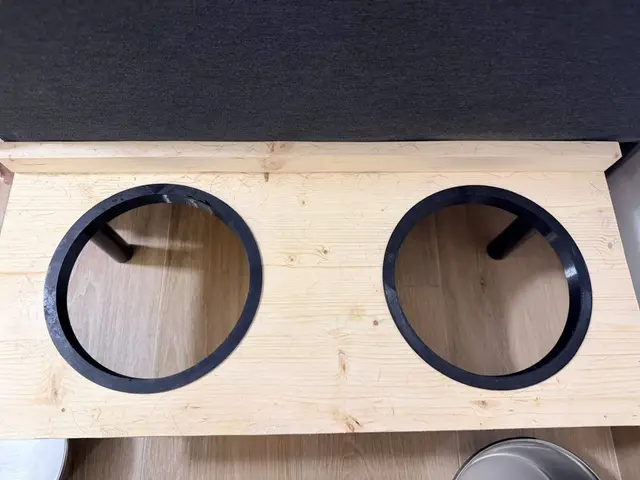 Ring bowl for dogs — modelo 3D