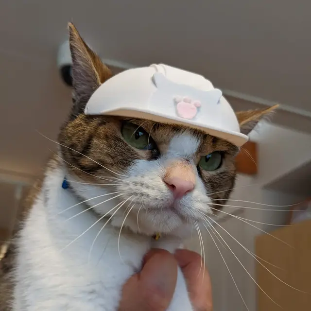 A Hard Hat for Cat — modelo 3D