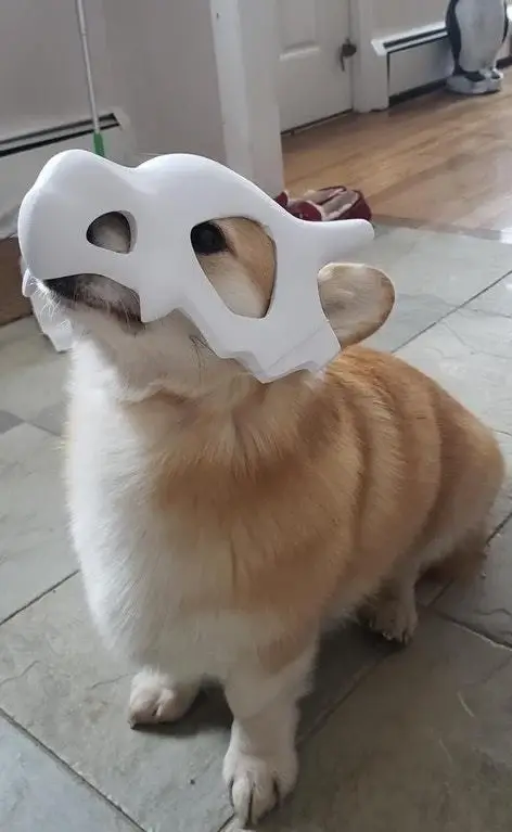 Cubone Pet Mask! — modelo 3D