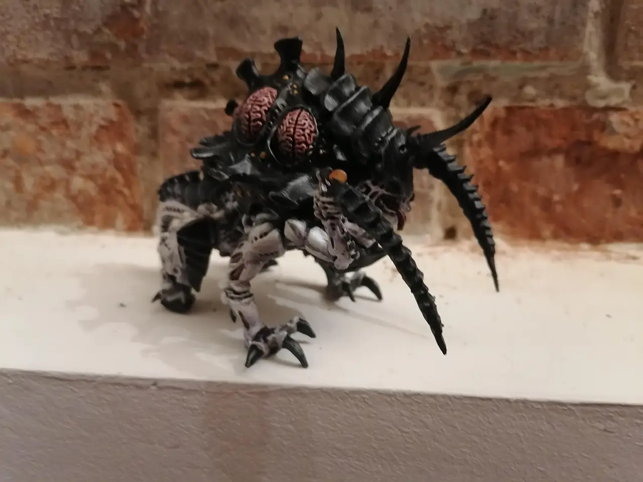 femaleceptor — modelo 3D