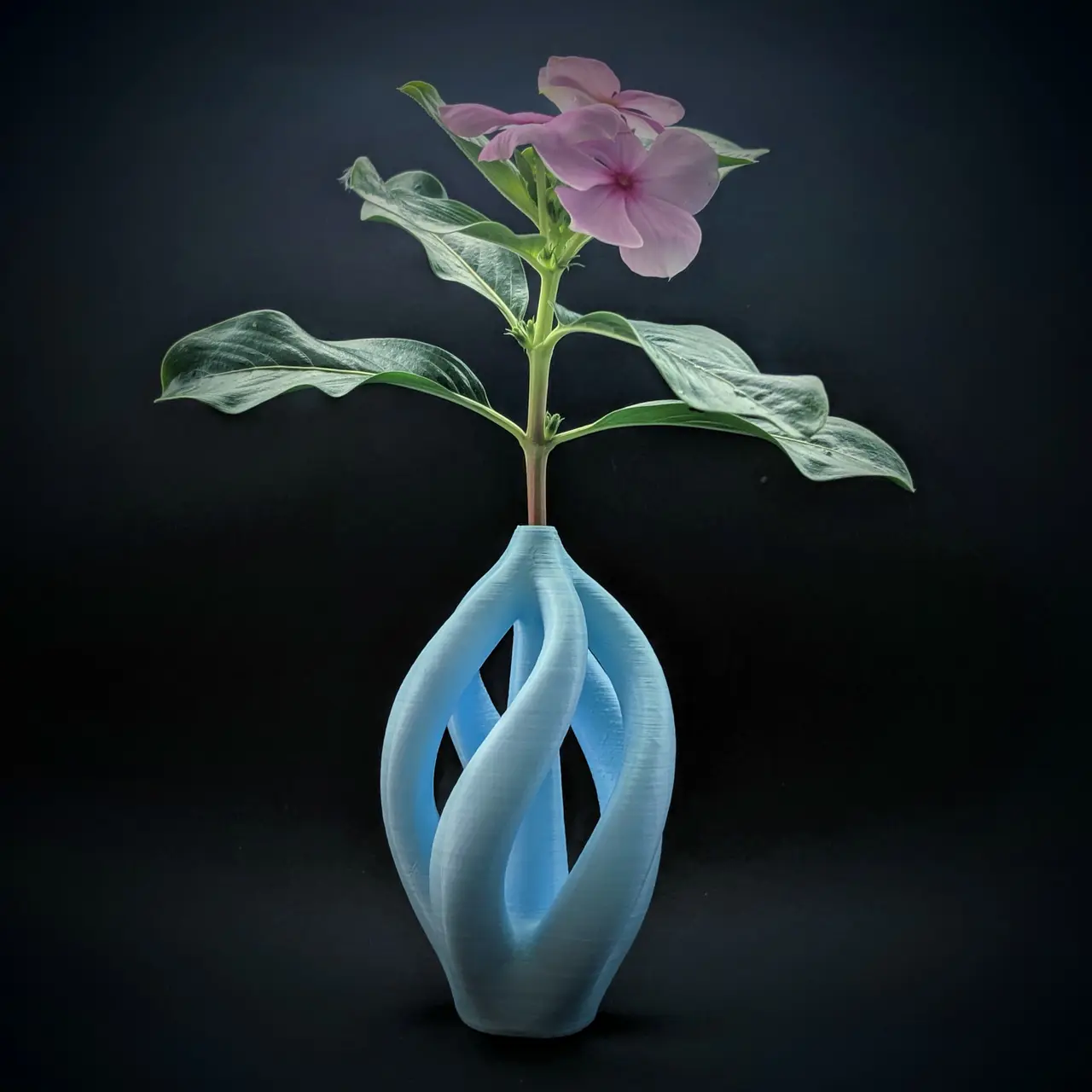 Orbit Vase — modelo 3D