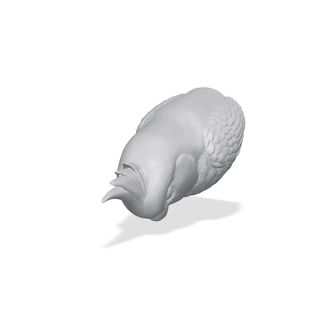 Cockatiel Bust 3D Print STL — modelo 3D