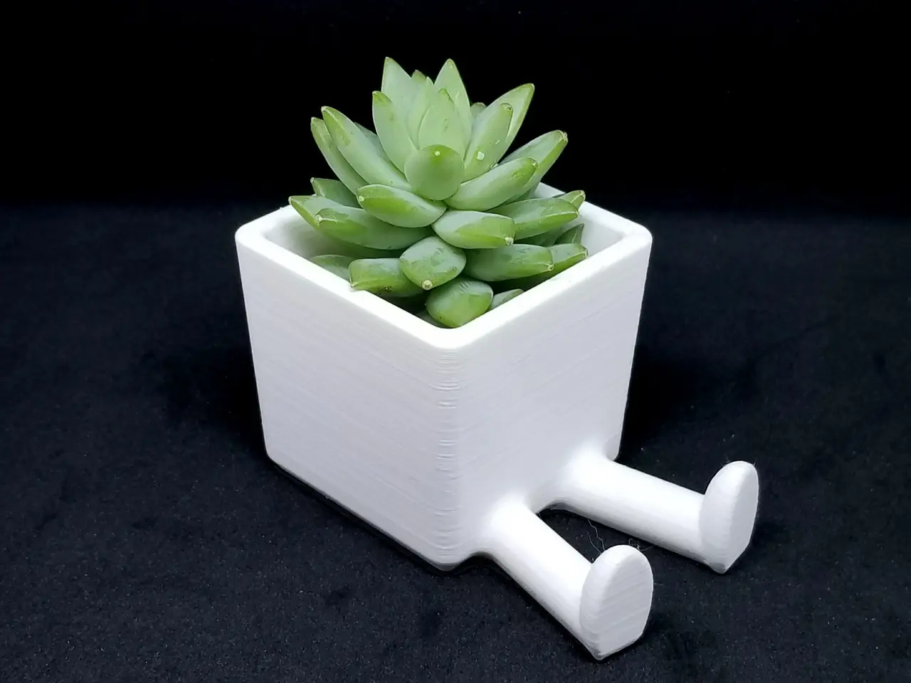 Succulent Planter / 3D printed planter / Legged Planter — modelo 3D