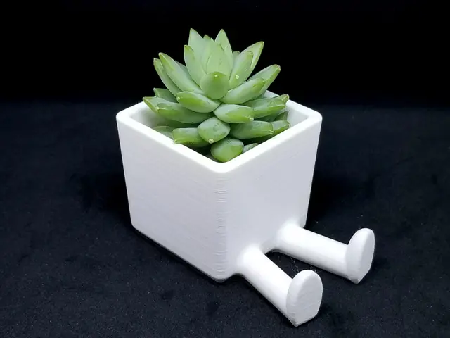 Succulent Planter / 3D printed planter / Legged Planter — modelo 3D