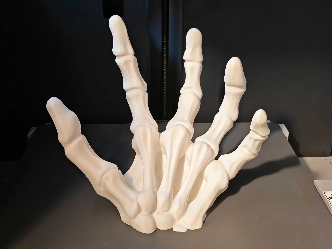 Magnetic hand skeleton — modelo 3D